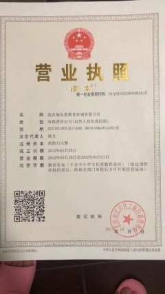 武漢淘樂思教育咨詢公司 深耕教育咨詢，賦能學習未來